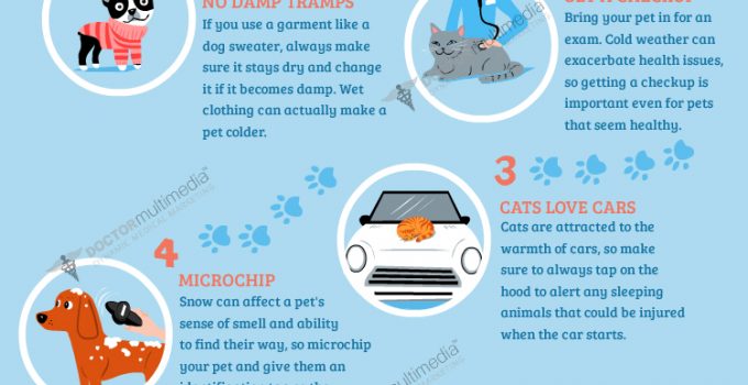 10 Cold Weather Pet Safety Tips